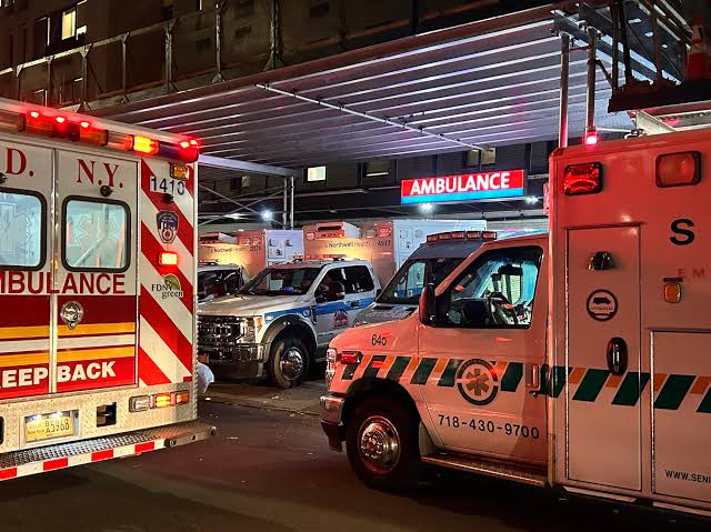 Efferon Aims to Reduce Pediatric Sepsis Deaths With Innovative Treatment